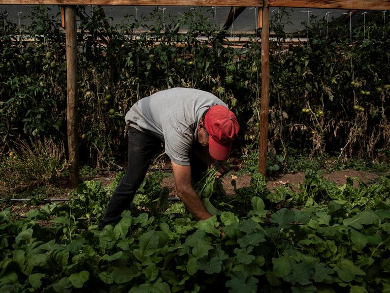 20 DE ABRIL DE 2021 / QUILPUEFOTO: MIGUEL MOYA / AGENCIAUNO