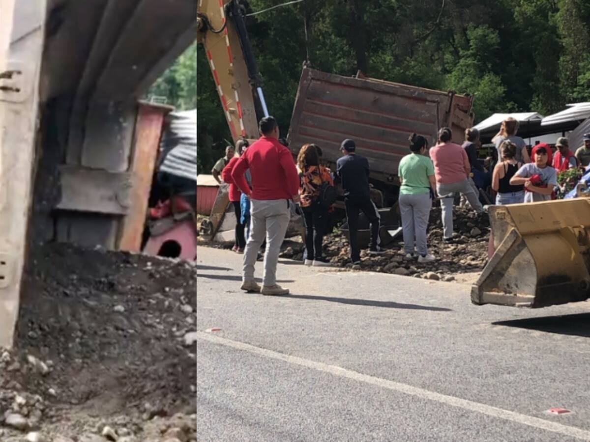 Fatal accidente de tránsito destruye refugio de perritos en Talca: conductor de camión perdió el control