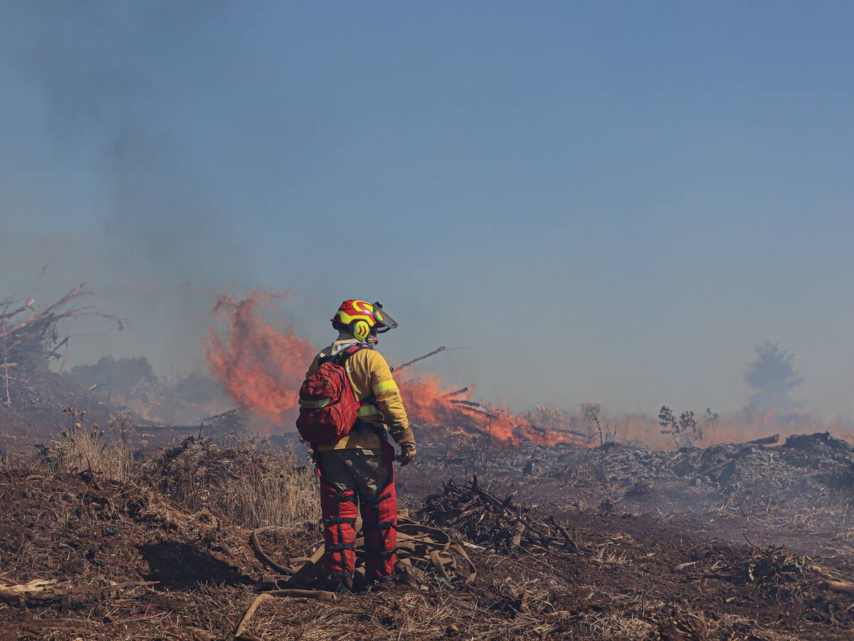 “Lo que corresponde a la autoridad es tomar decisiones”: Delegado de La Araucanía respalda quemas agrícolas ante críticas por incendios forestales