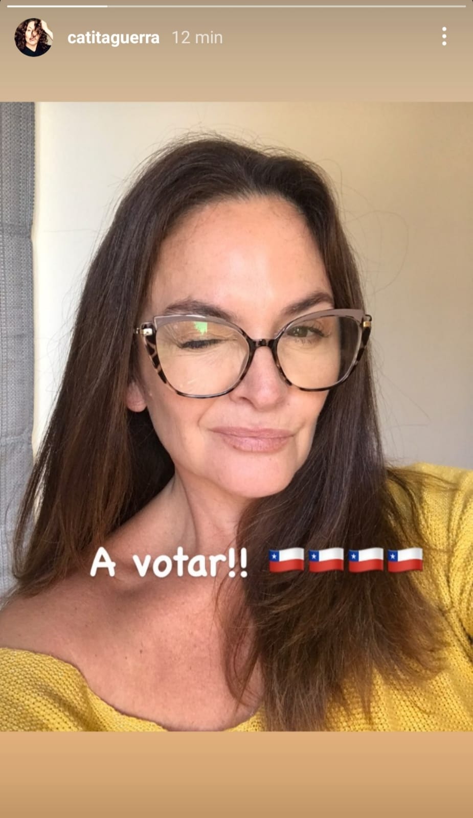 Chilenos famosos votando | Catalina Guerra