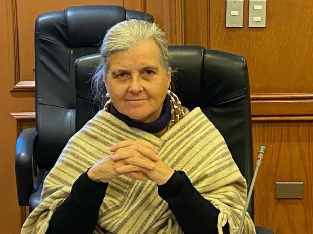 Kena Lorenzini busca reelección como concejala de Ñuñoa con apoyo del PPD: “No podría haber ido por ningún partido de los del Frente Amplio”