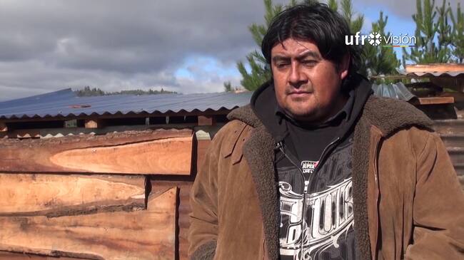Justicia decretó prisión preventiva del werkén Jorge Huenchullán