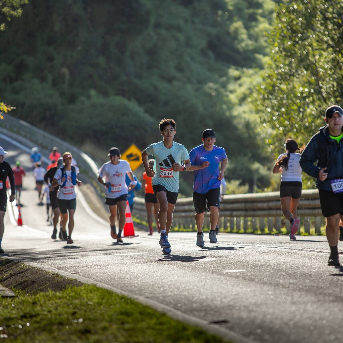 Media Maratón de Frutillar cumplirá su cuarta edición con cuatro distancias en competencia