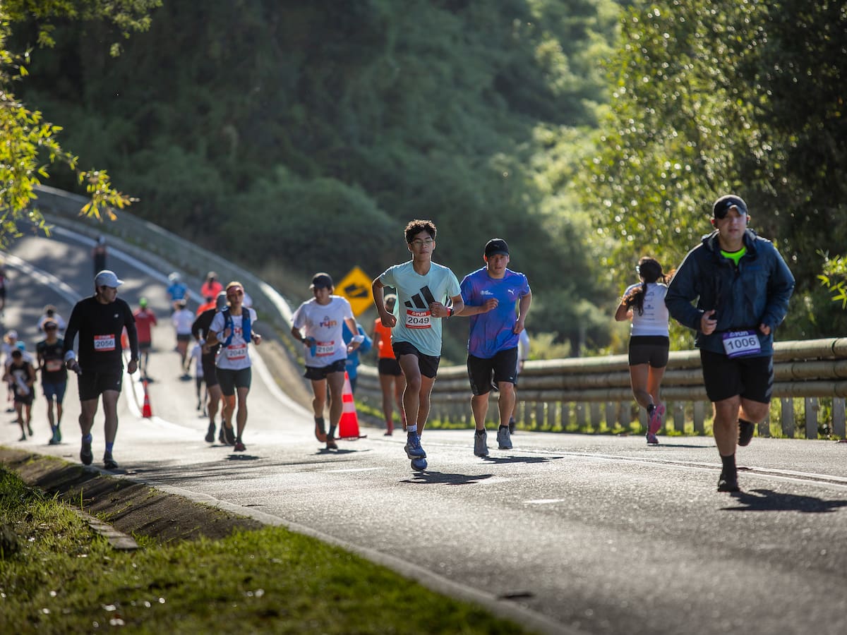 Media Maratón de Frutillar cumplirá su cuarta edición con cuatro distancias en competencia