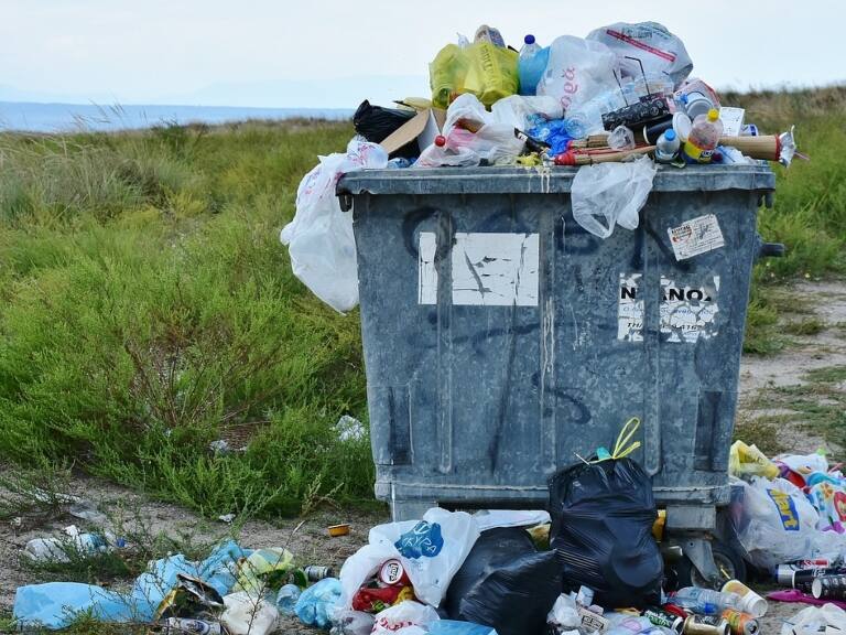 Día mundial del reciclaje: las huertas urbanas como alternativa para disminuir los residuos