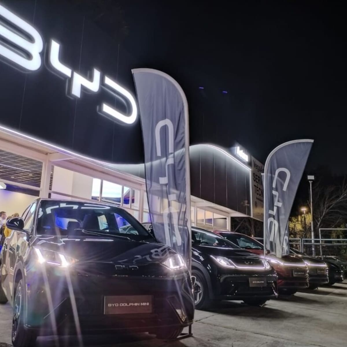 Gerente de BYD por histórico arribo de autos de nueva energía: “Fue la llegada más grande en volumen a un puerto chileno”