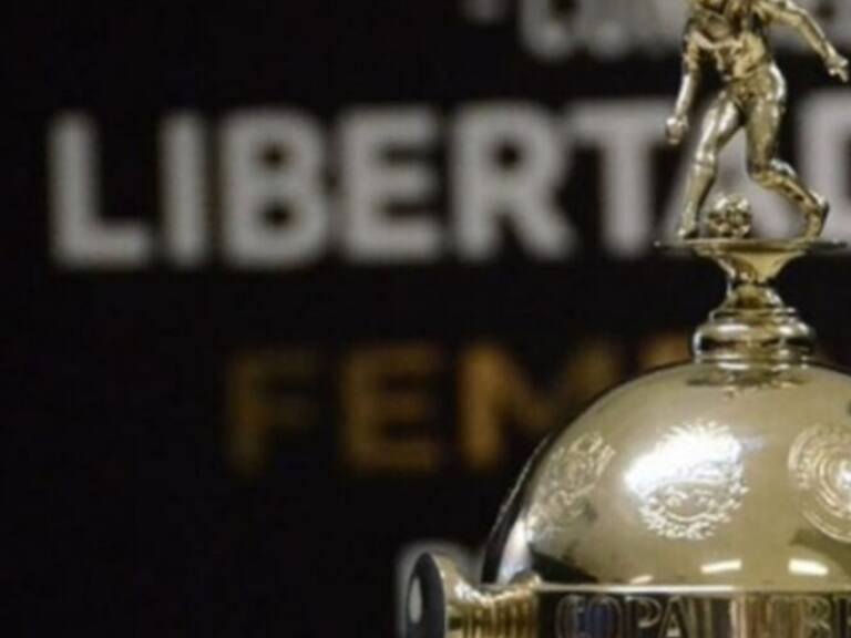 ANFP solicitó ser sede de la Copa Libertadores Femenina 2021