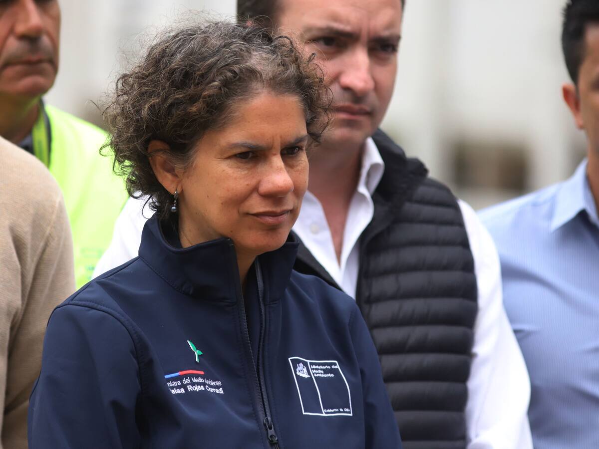 Ministra de Medio Ambiente sobre inhabilitación de ministros en el caso Dominga: “Quien decide si un acto se apega la ley o no es el Poder Judicial”