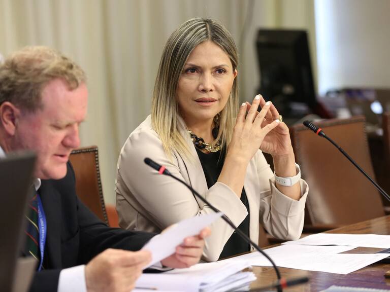 Presentan proyecto de ley para disminuir a 45 años la edad de jubilación de personas con Síndrome de Down