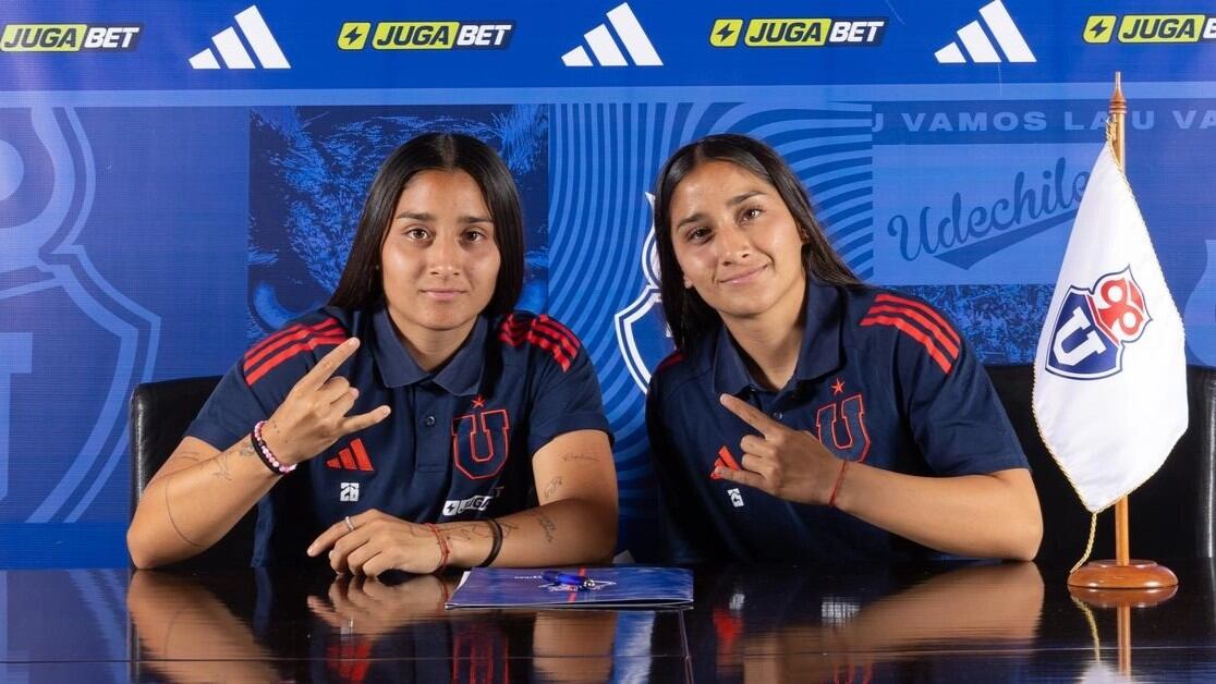 @udechilefem
