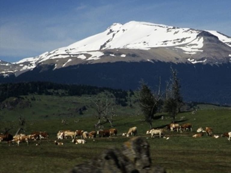 Minera de EEUU inscribe más de 50 mil hectáreas para explotar oro en la Patagonia