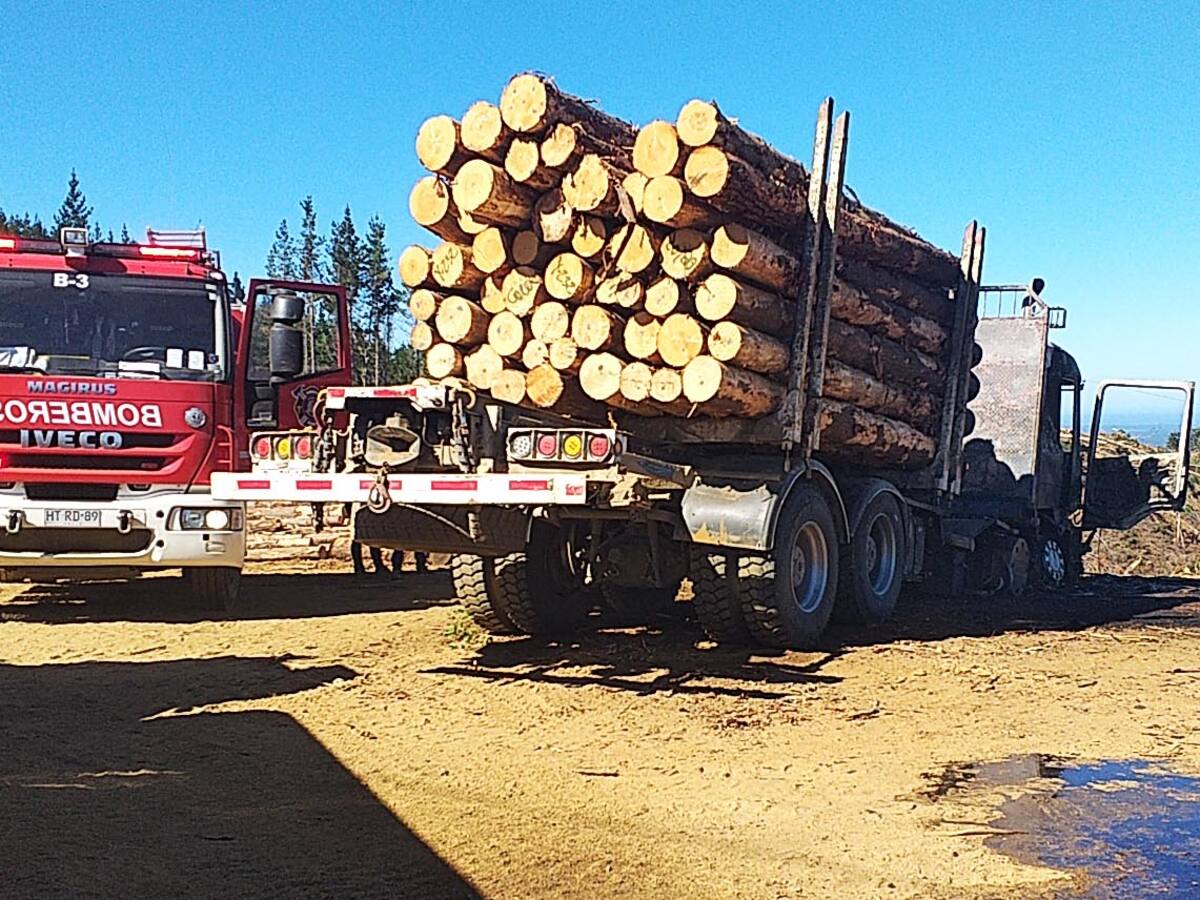 Nuevo ataque incendiario en Arauco: encapuchados prendieron fuego a maquinaria forestal en Cañete