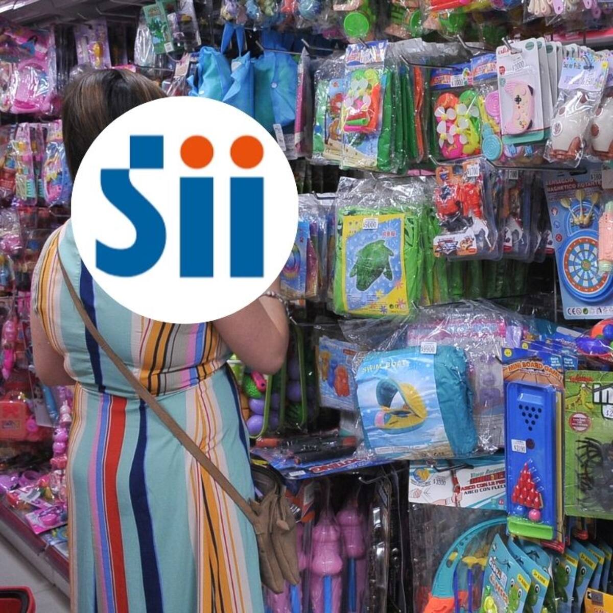 Usaban “Malls Chinos” : SII se querella contra empresarios chinos por millonario fraude en Valdivia