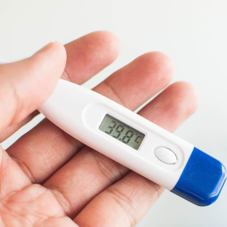 Subclado K: revisa los síntomas de la nueva variante de Influenza A(H3N2) detectada en Chile