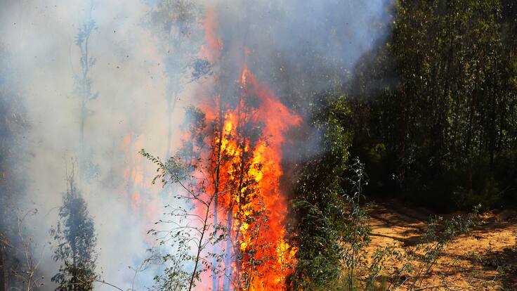 Incendio y Alerta Roja en Valparaíso