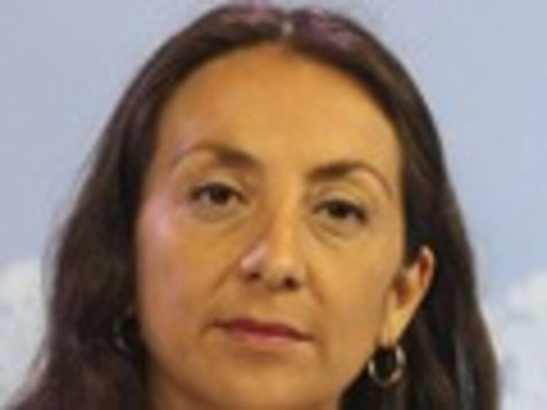 La Moneda avaló emplazamiento de Matthei a Bachelet por conducta de la oposición en el Congreso