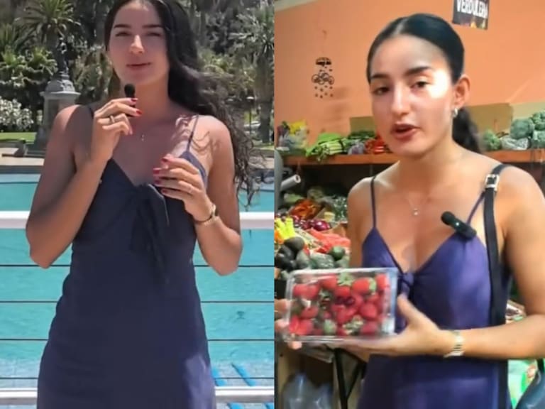 Influencer extranjera se sorprende con cinco curiosidades de Chile: “Aquí hacen la ‘chamba’ de los dos”