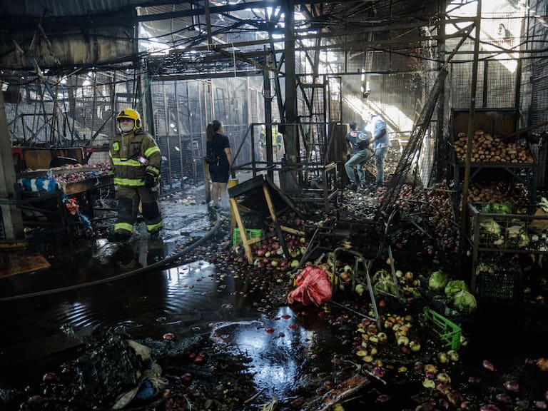 Vendedores de la Vega Central denuncian trabajar sin medidas de seguridad suficientes tras incendio que dañó 70 locales