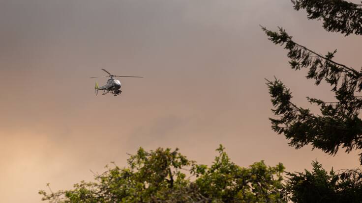 Christian Little, director de Conaf, por incendios forestales en el país - ADN Hoy - 29 de enero de 2024