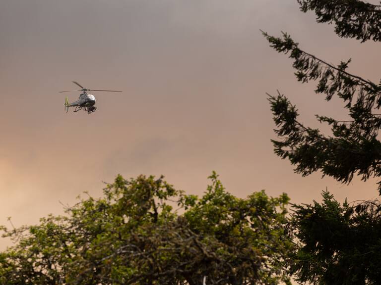 Christian Little, director de Conaf, por incendios forestales en el país - ADN Hoy - 29 de enero de 2024