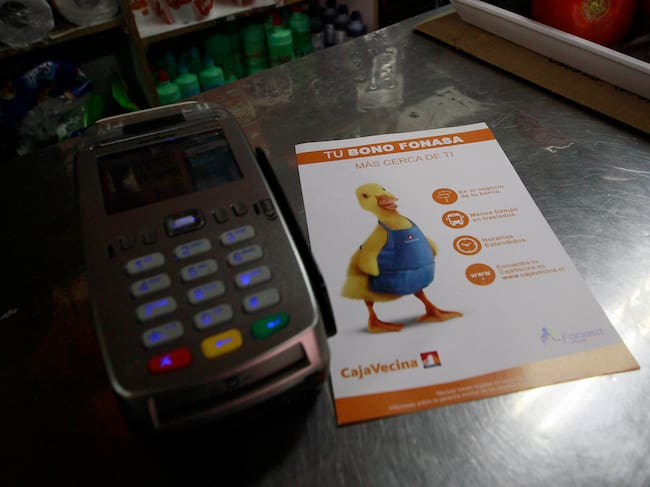 Pato del Banco Estado