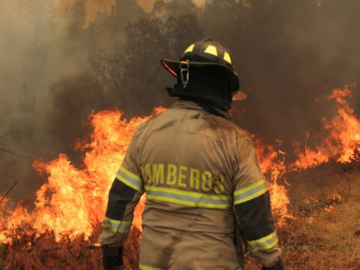 Incendios forestales: Fiscalía confirma responsabilidad de compañías eléctricas en el inicio y propagación de las llamas