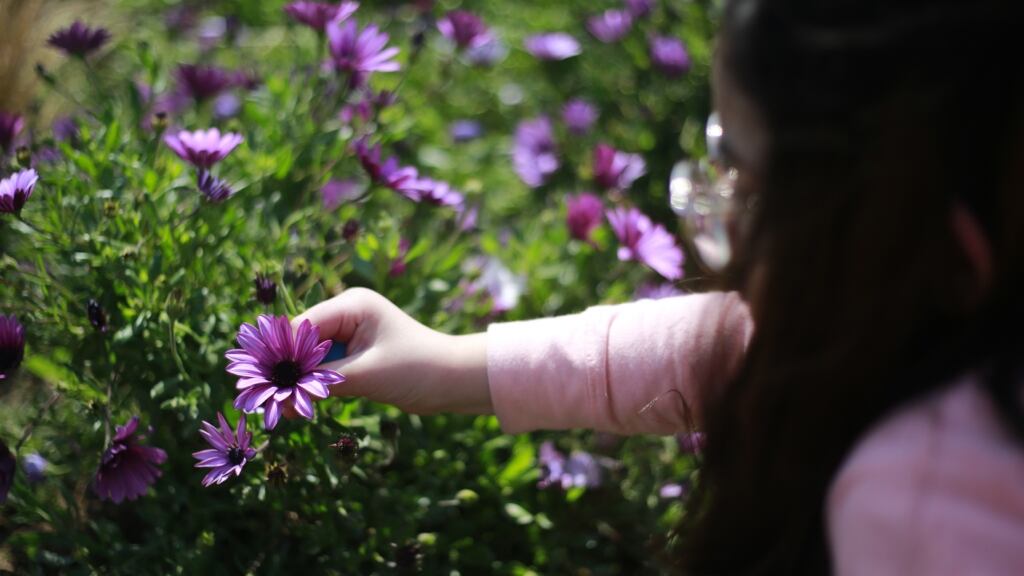 Primavera en Chile 2023