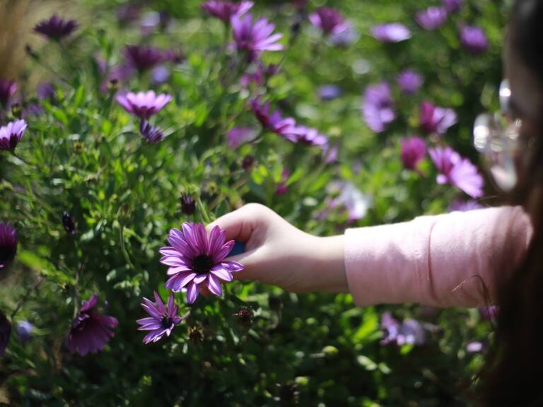 Primavera en Chile 2023