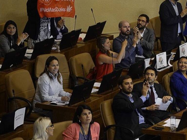 Cámara de Diputados aprobó legislar el proyecto sobre el uso medicinal de la marihuana