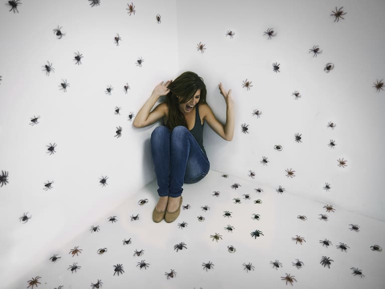 Qué significa soñar con arañas