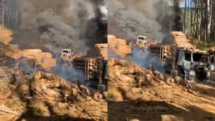 Ataque incendiario en Contulmo