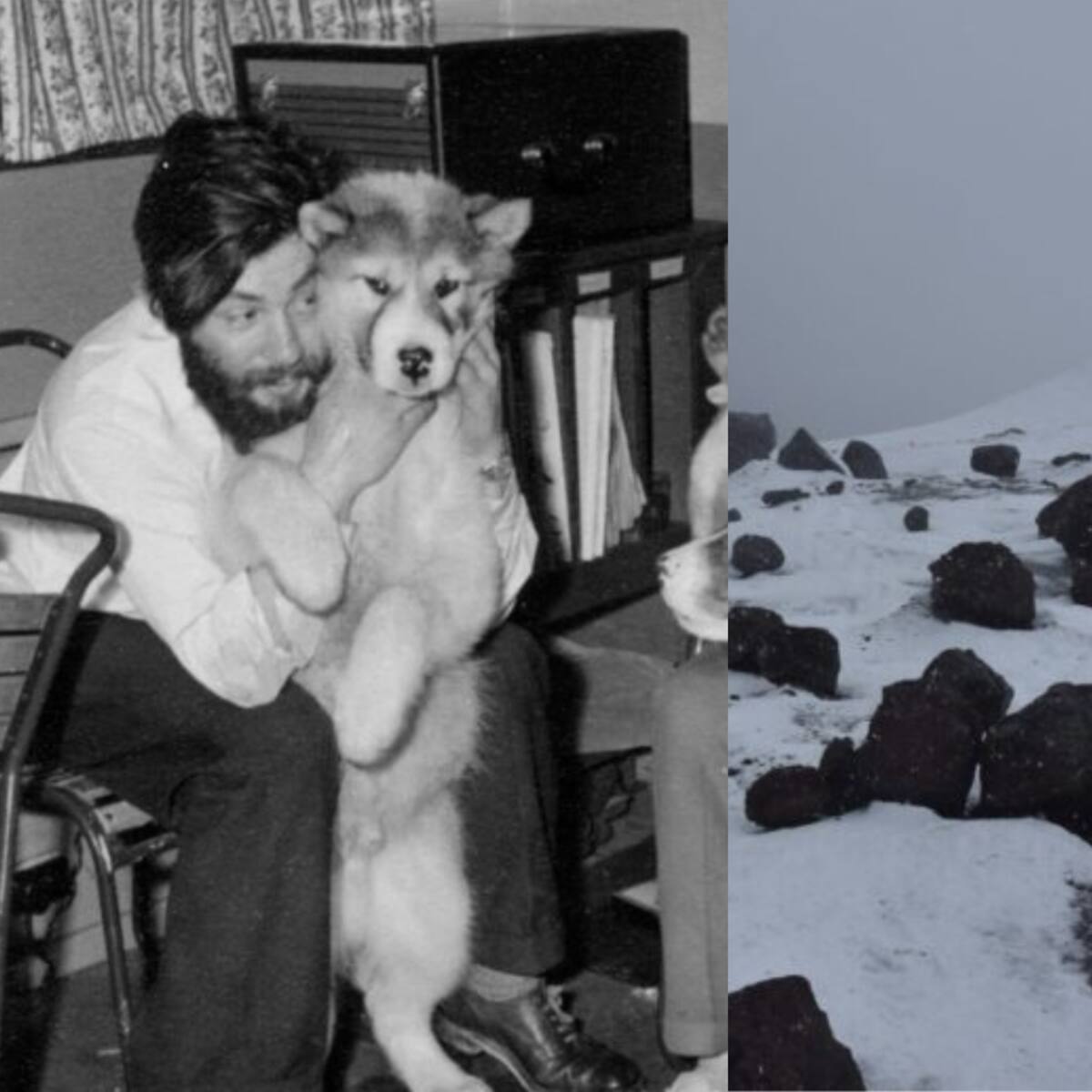 Cayó por una grieta en la Antártica chilena, estuvo 66 años perdido y ahora rescataron su cuerpo: “Fin a un misterio”