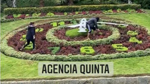 Sujeto en estado de ebriedad intenta destruir el reloj de flores en Viña del Mar