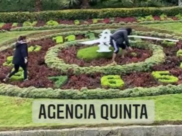 Sujeto en estado de ebriedad intenta destruir el reloj de flores en Viña del Mar