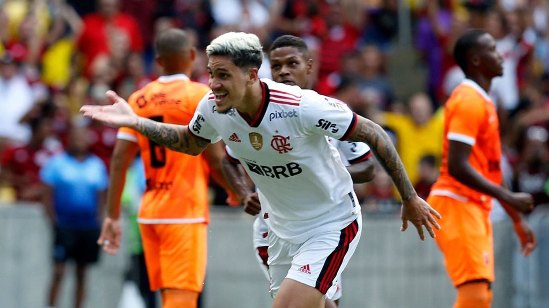 Erick Pulgar Flamengo