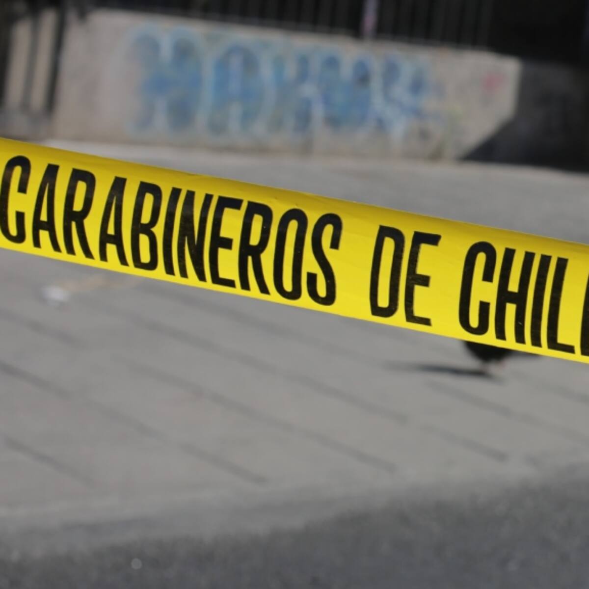Accidente de carretera en Pudahuel: caballo fue chocado en Ruta 68