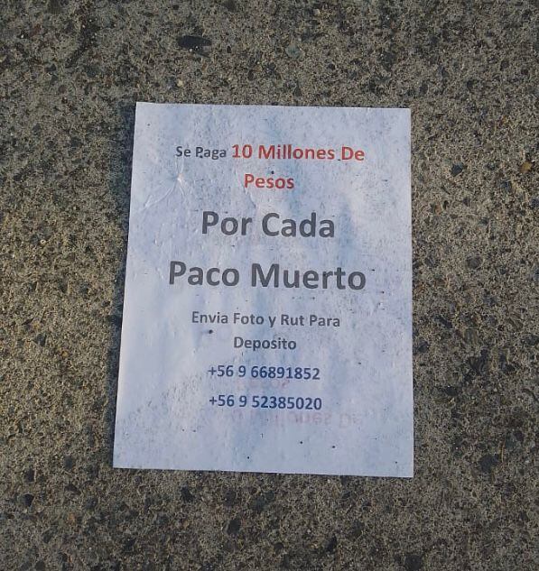 Cedida