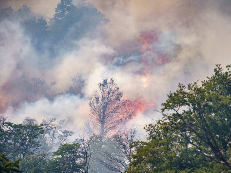 “Si no nos piden colaboración...”: Conaf actualiza estado de incendio forestal en la Patagonia Argentina que llegó a territorio chileno
