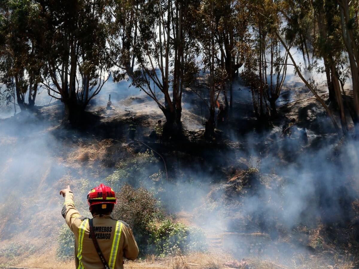 Balance por incendios: Onemi informa que aún hay 9 siniestros activos en el país