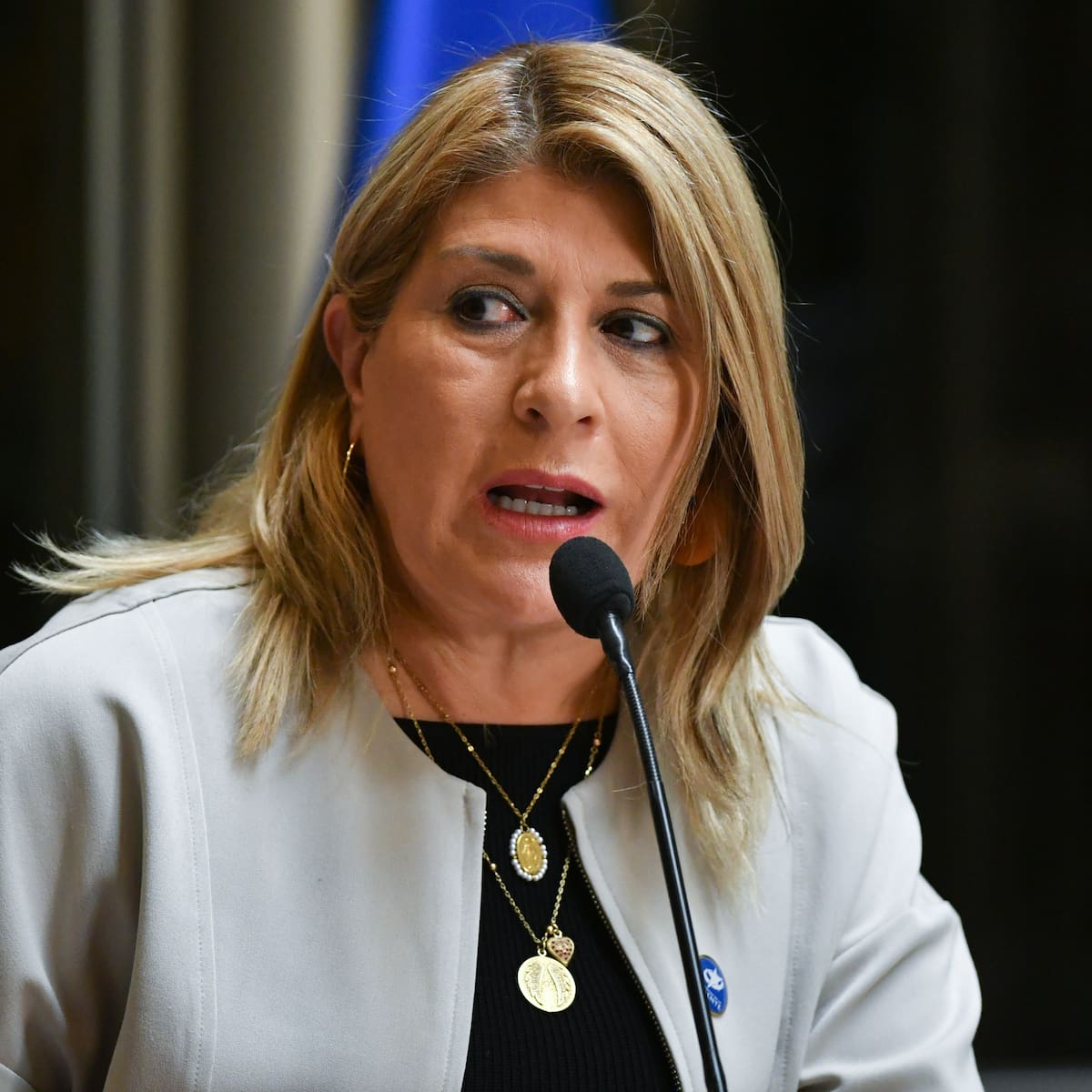 Diputada Parisi denuncia a Enel por “cobros fantasmas” y pide investigar eventual enriquecimiento ilícito