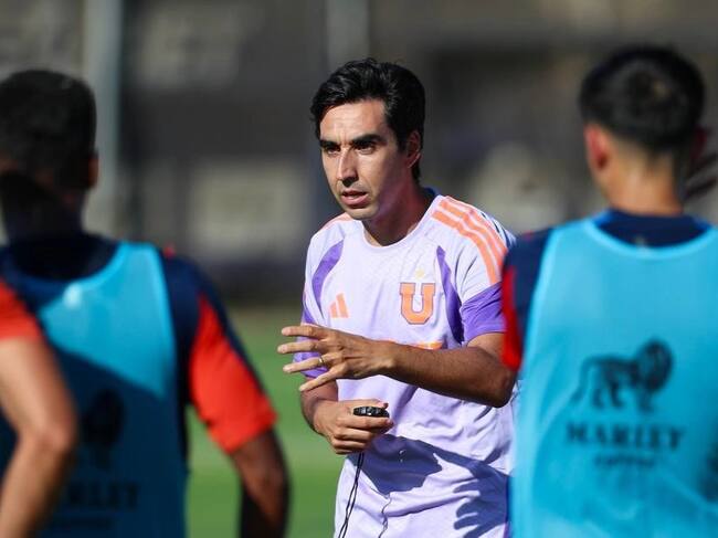 @udechile