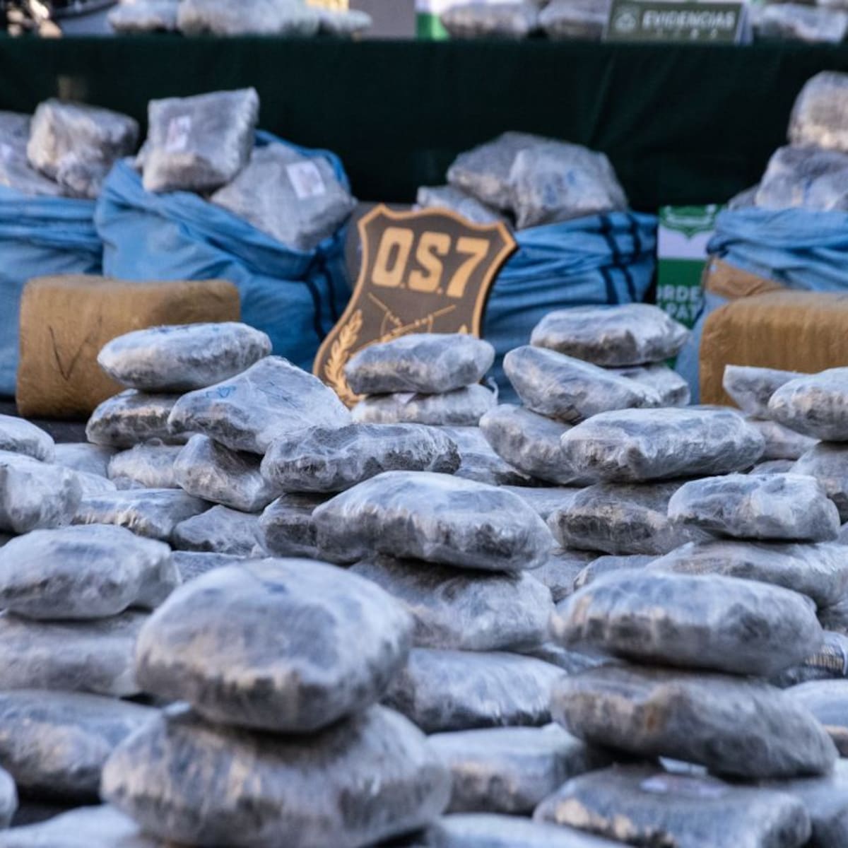 Operativos antidrogas decomisan más de una tonelada de marihuana: iba destinada al sur de Santiago