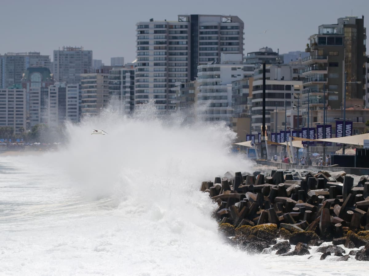 Hombre es detenido por entrar al mar en estado de ebriedad en medio de marejadas en Viña del Mar