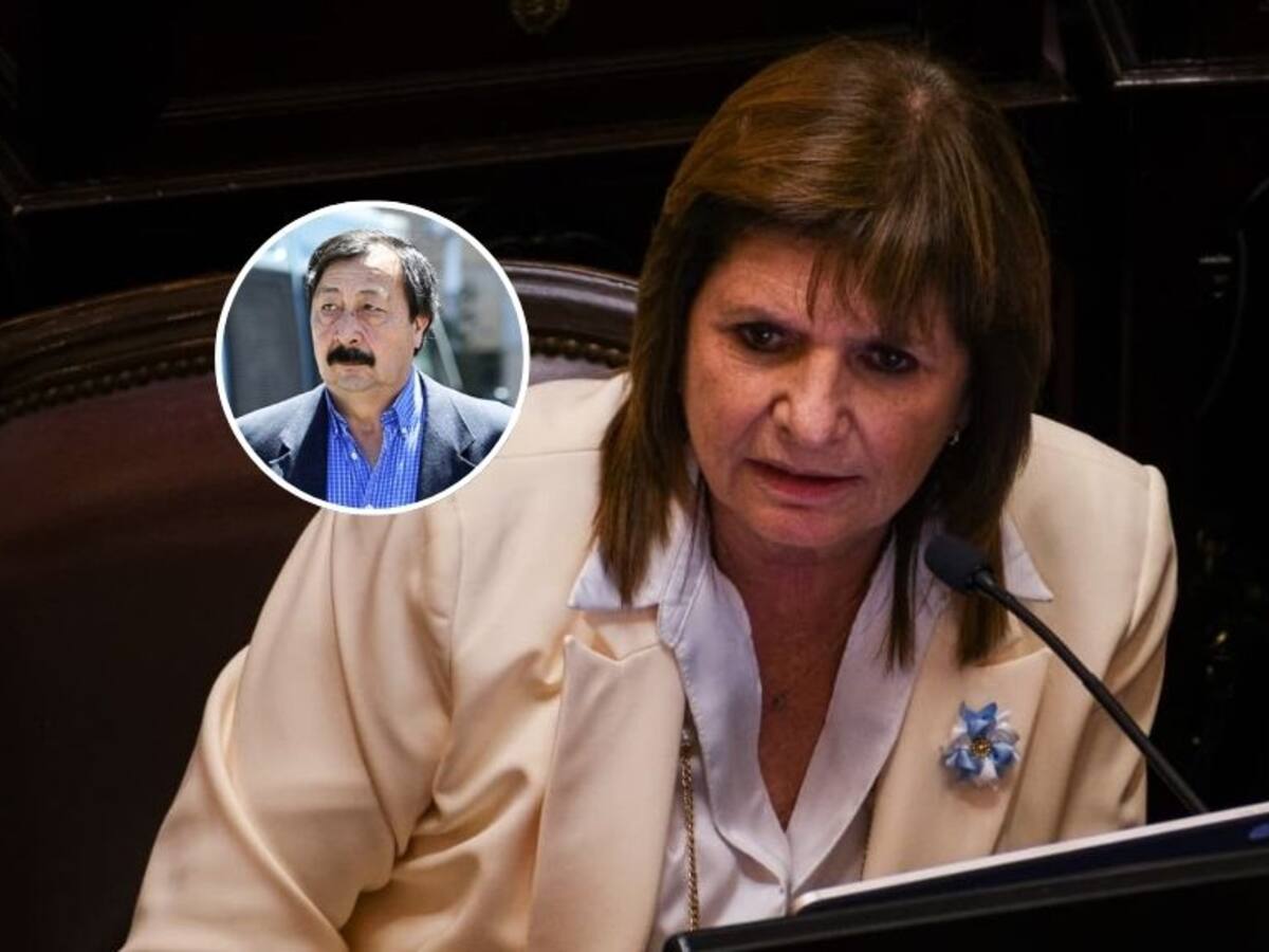 Patricia Bullrich advierte de cara al futuro de Galvarino Apablaza: “Lo vamos a encontrar y va a terminar su vida en la cárcel”