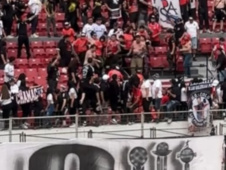 Hinchas de Colo Colo se pelean entre sí durante el partido contra Deportes Limache