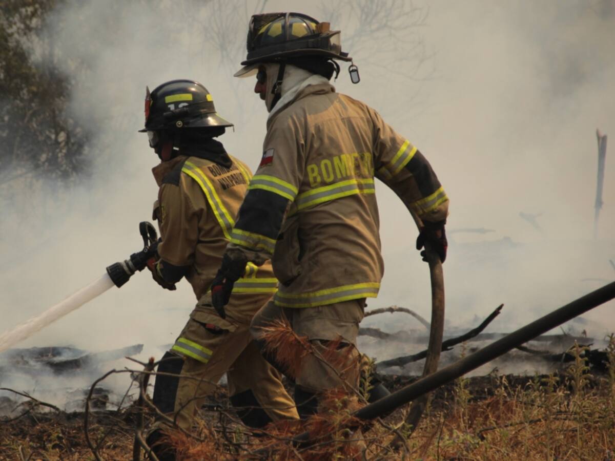 Gobierno informa 323 incendios activos en el país: 90 de estos están en combate