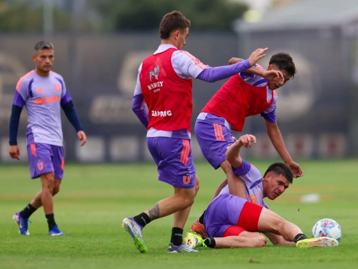Imagen: U de Chile