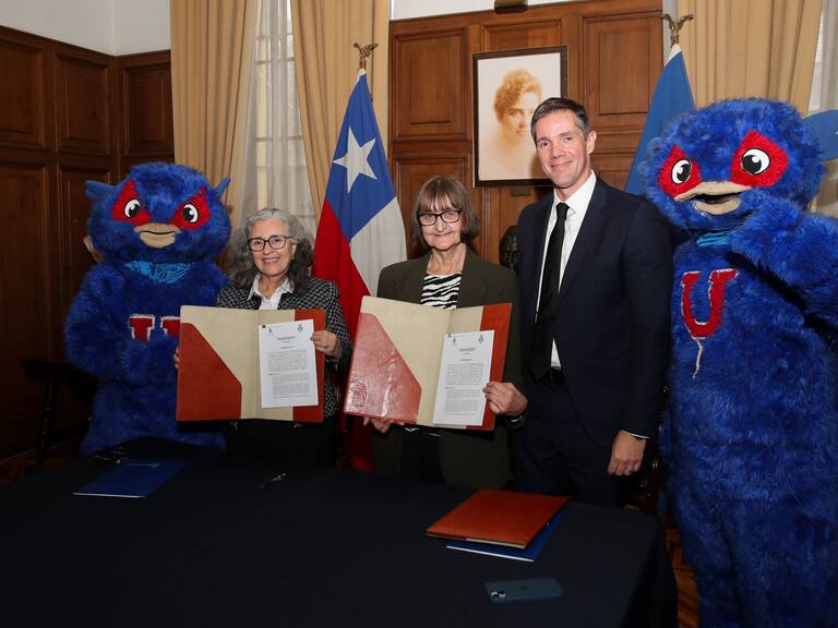 @udechile