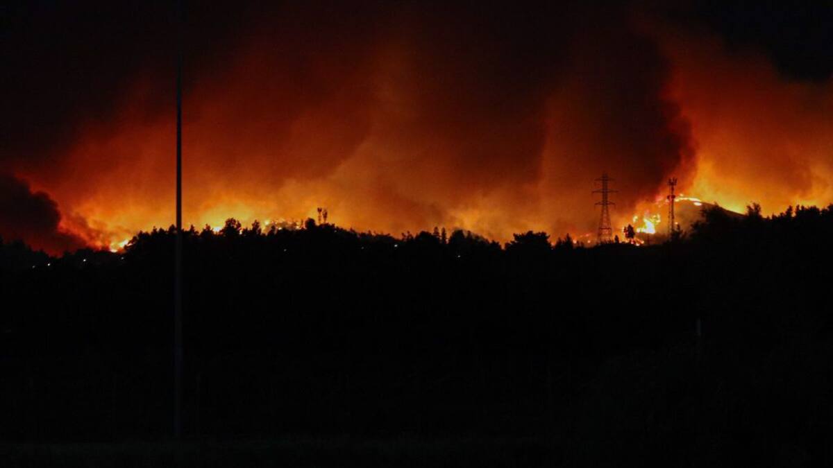 Experto en ecología del fuego: “Hay que adquirir una cultura forestal, si estoy en el área rural, en algún momento va a llegar un incendio”