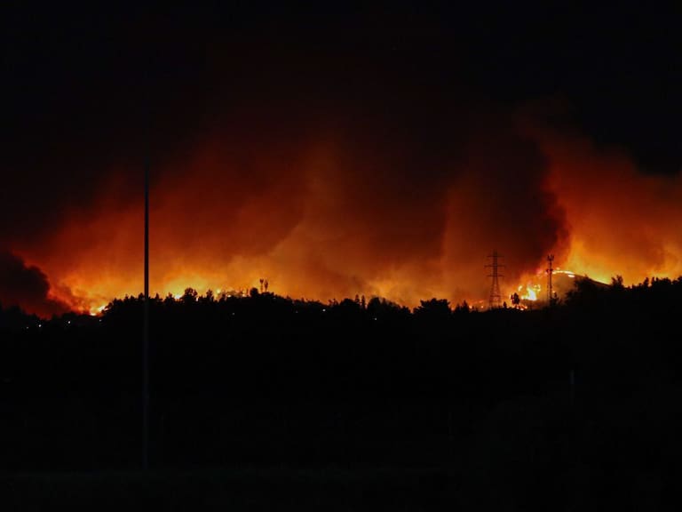 Experto en ecología del fuego: “Hay que adquirir una cultura forestal, si estoy en el área rural, en algún momento va a llegar un incendio”